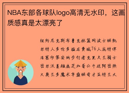 NBA东部各球队logo高清无水印，这画质感真是太漂亮了