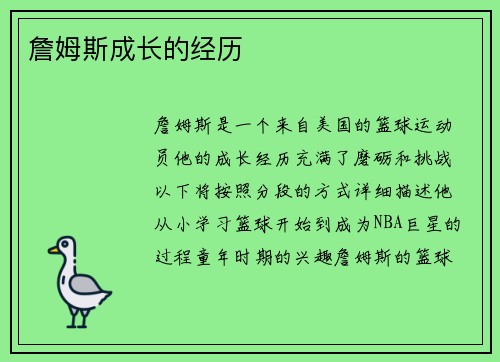 詹姆斯成长的经历